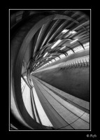 080104 - Canon 400D + Peleng 8mm f/3.5 Fisheye - b080104 - 7031